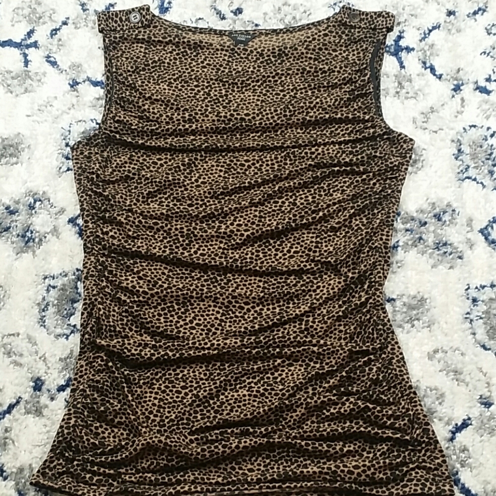 Ann Taylor Petite